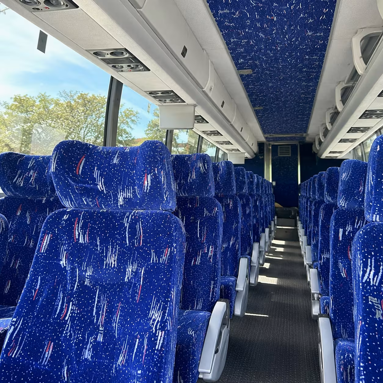 palm baycharter bus rental